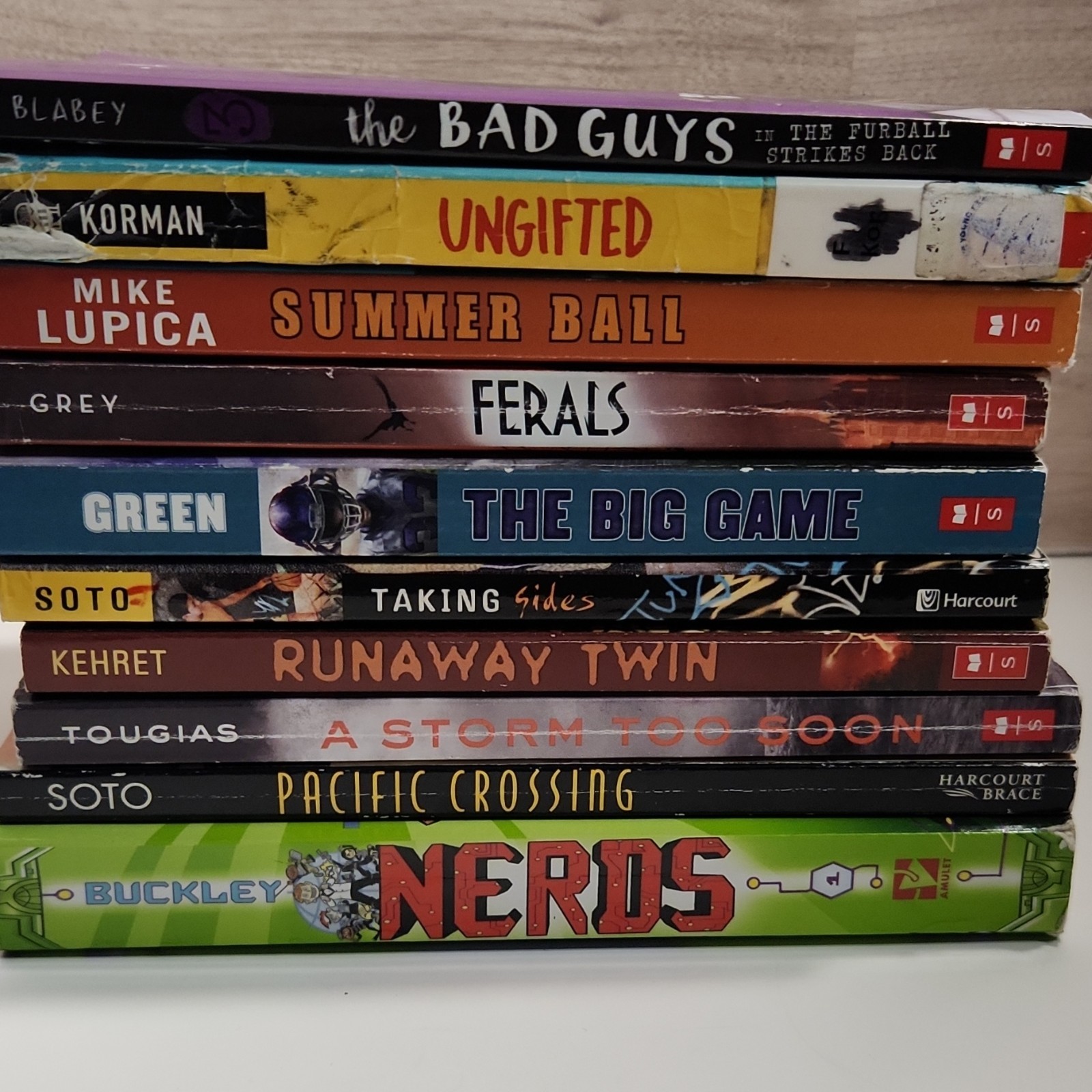 Lot of 10 Scholastic Young Adult Chapter Books 8-11 Years