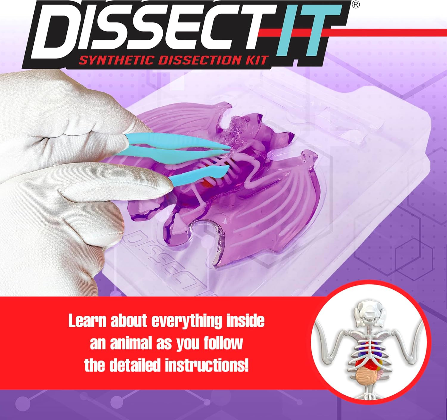 Dissect-It Simulated Synthetic Lab Dissection Toy, STEM Projects for Kids, Anima