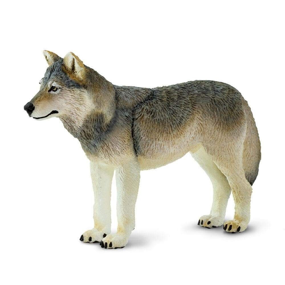 GRAY WOLF Animal Figurine Safari Ltd toy North American Safari Collection