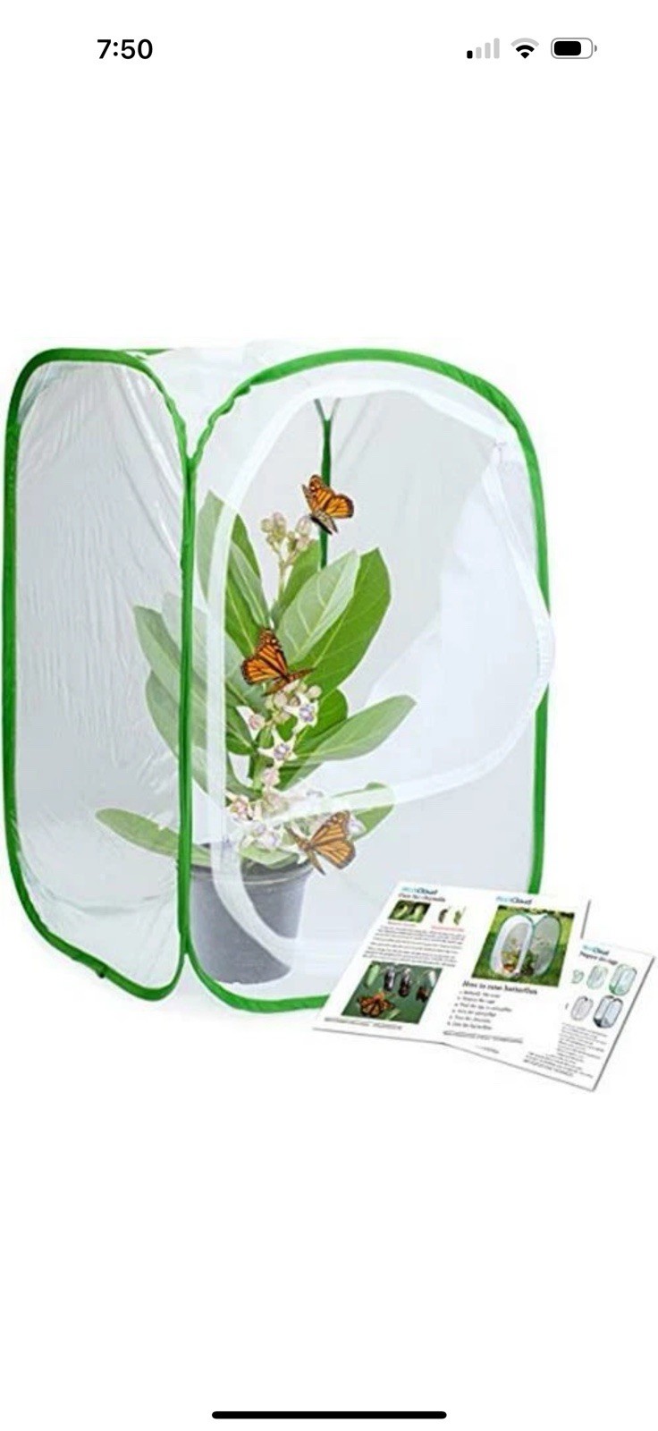 RESTCLOUD Insect and Butterfly Habitat Cage Terrarium Pop-up 23.6 Inches Tall