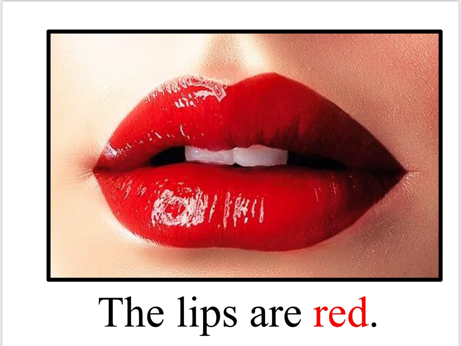 RED | The Strawberries are Red | LEARNING COLORS | Spiral Bound Picture Book
