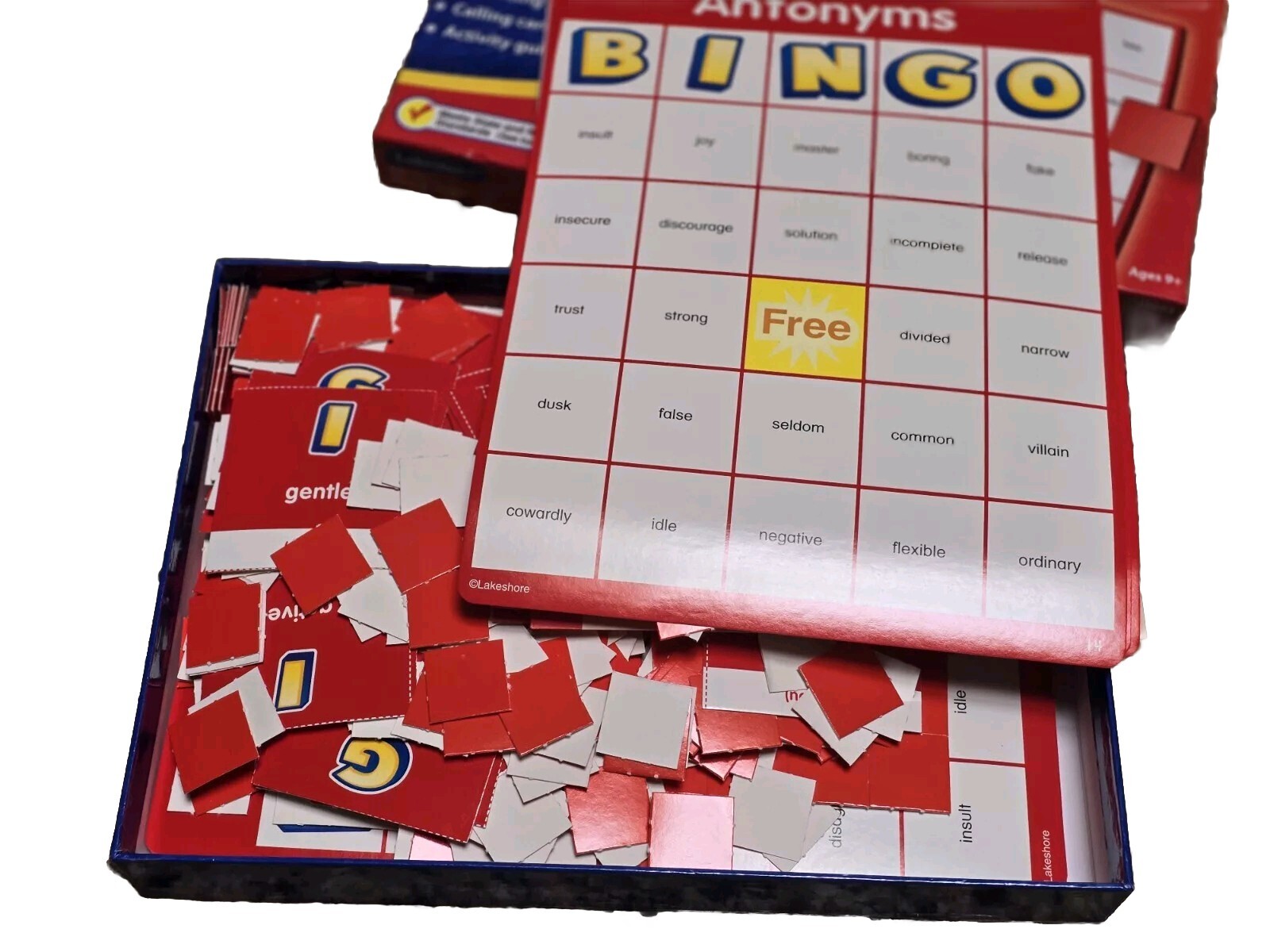 Lot 4-Lakeshore Bingo Prefixes Suffixes Synonyms Antonyms Fractions Age 10 & Up