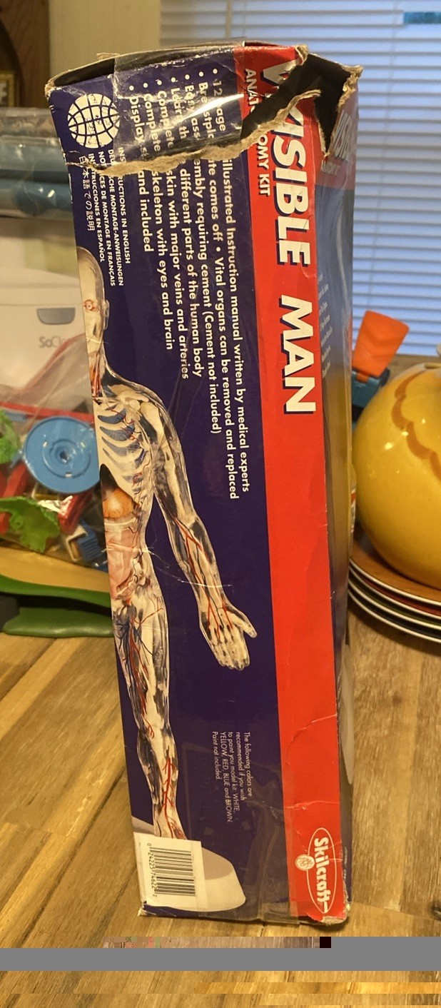 New In Box Skilcraft Visible Man Anatomy Kit Level 2 Made in USA Model 74622