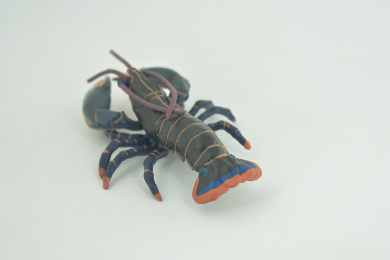 Boston Lobster Toy Museum Quality Rubber Hand Painted Gift, 4 Inches CH1002BB218