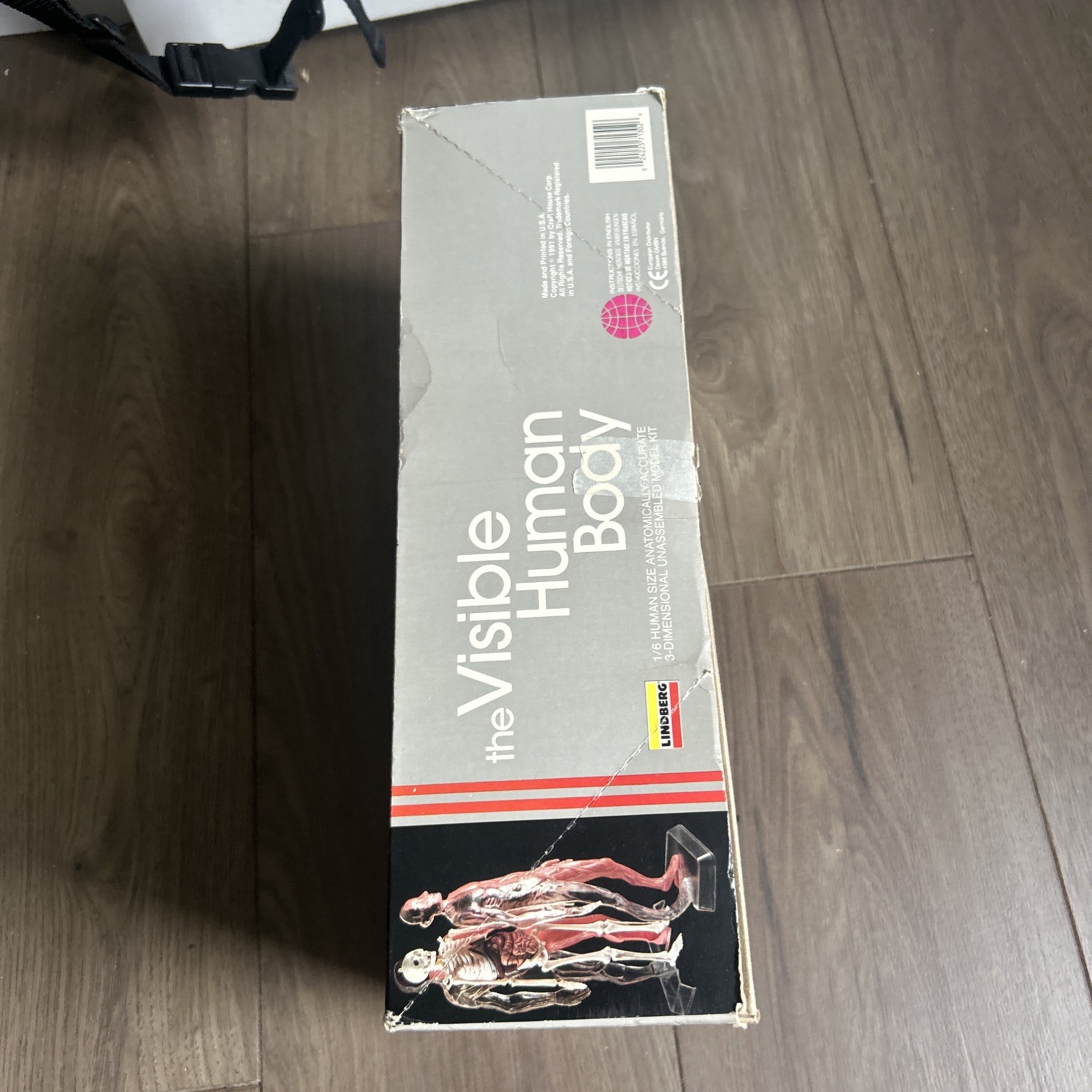 Lindberg Visible Human Body 1/6 human size 3D Model Kit No 71302