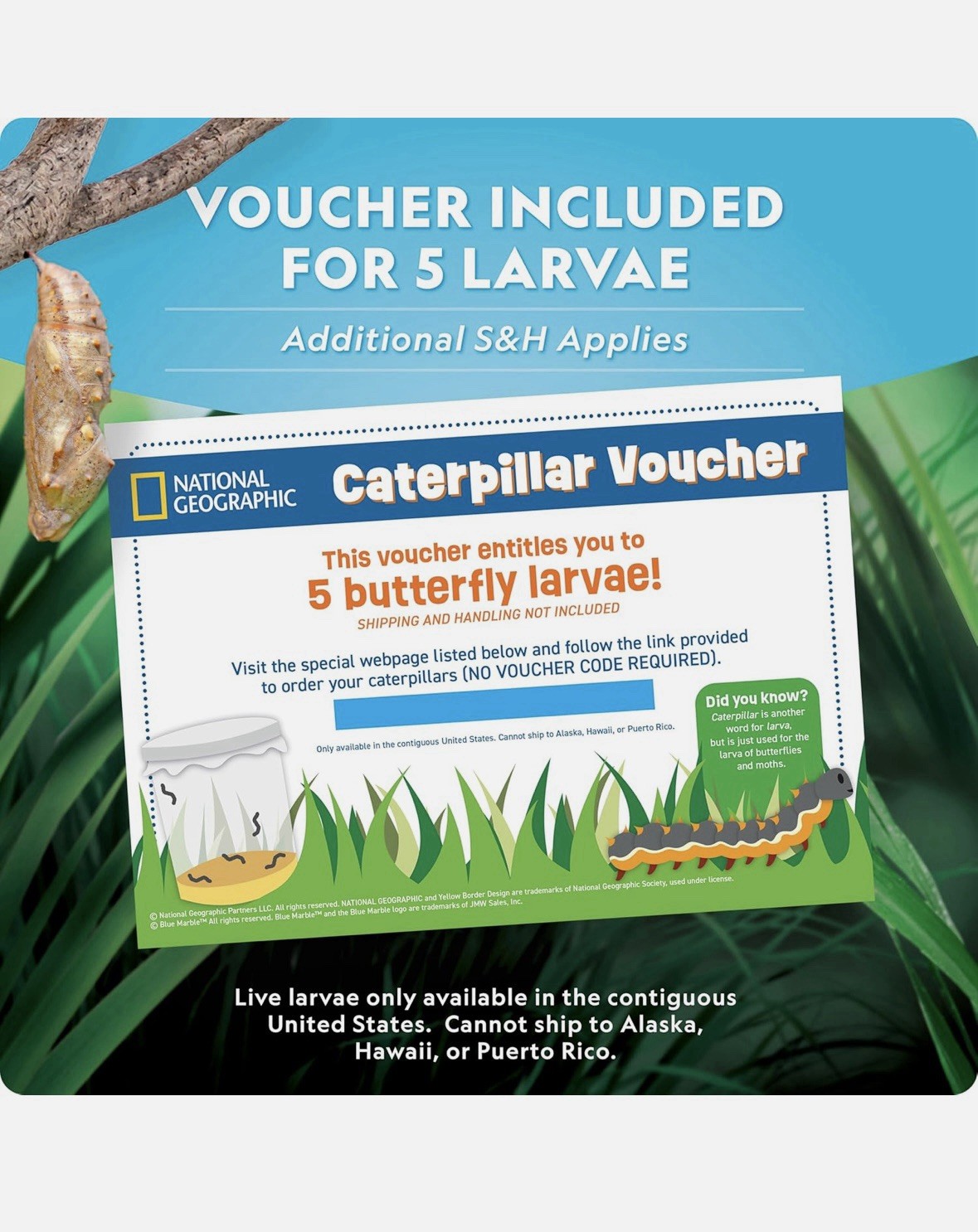 NATIONAL GEOGRAPHIC Butterfly Growing Kit Voucher for 5 Live Caterpillars STEM
