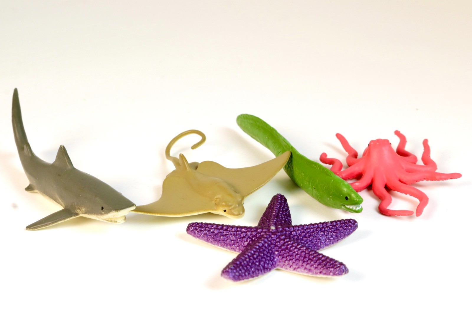 Safari Ltd. Ocean TOOB – 12 Mini Toy Figurines, Marine Ocean Life Figure Set