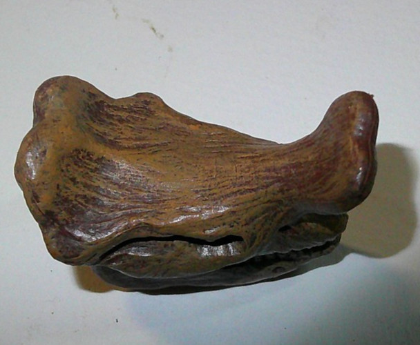 Embolotherium, Fossil Skull, Very Nice Plastic Reproduction 1 3/4″ Safari Lmt.