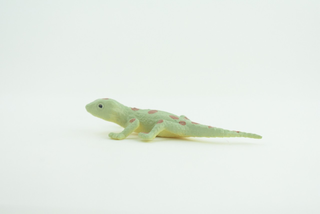 Spotted Gecko, Toy Lizard, Realistic Hand Painted Rubber, 2.5″ WR46 B197