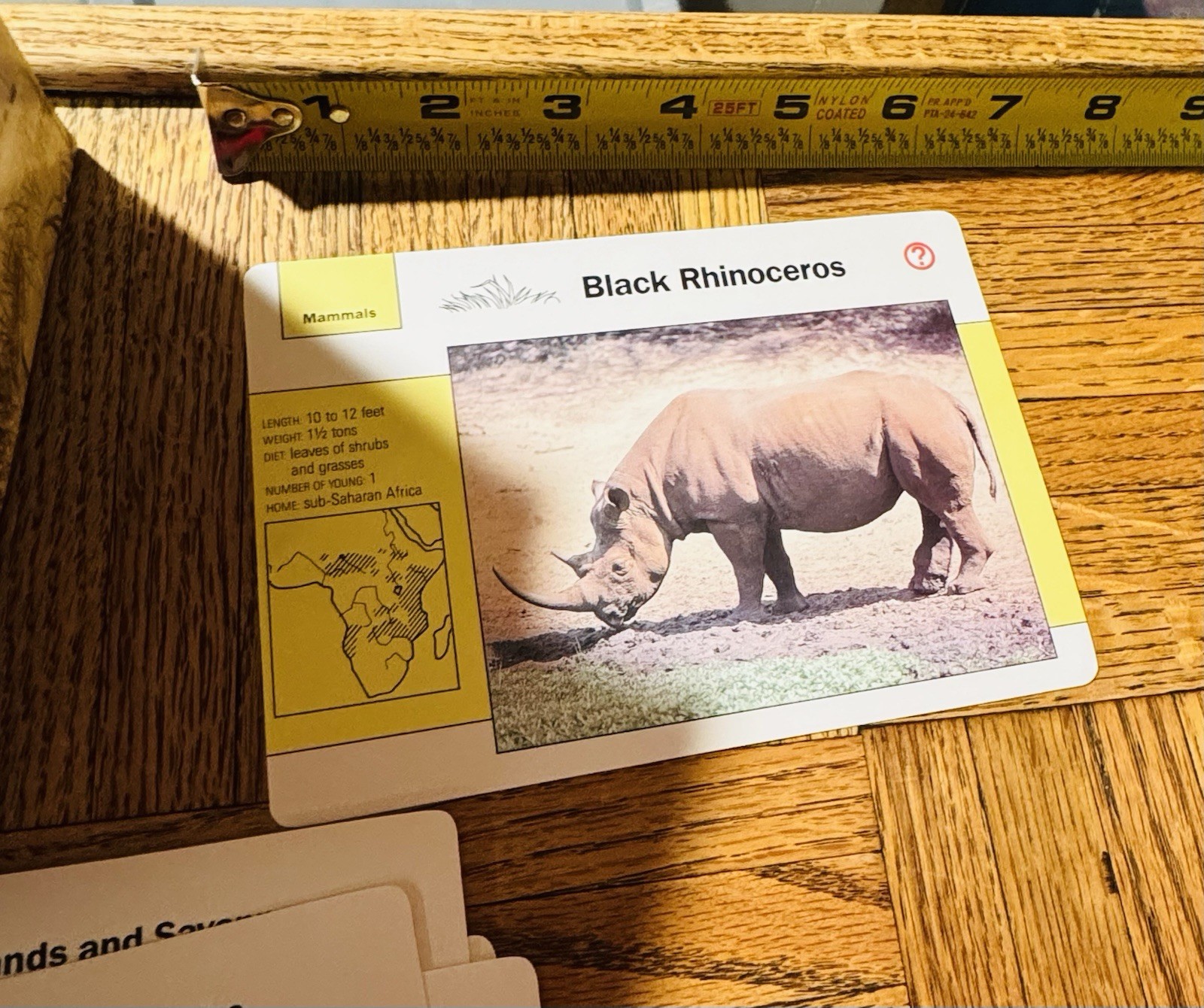 EUC! Wildlife Adventure Cards Educational Cards By Grolier 1991 Homeschooling