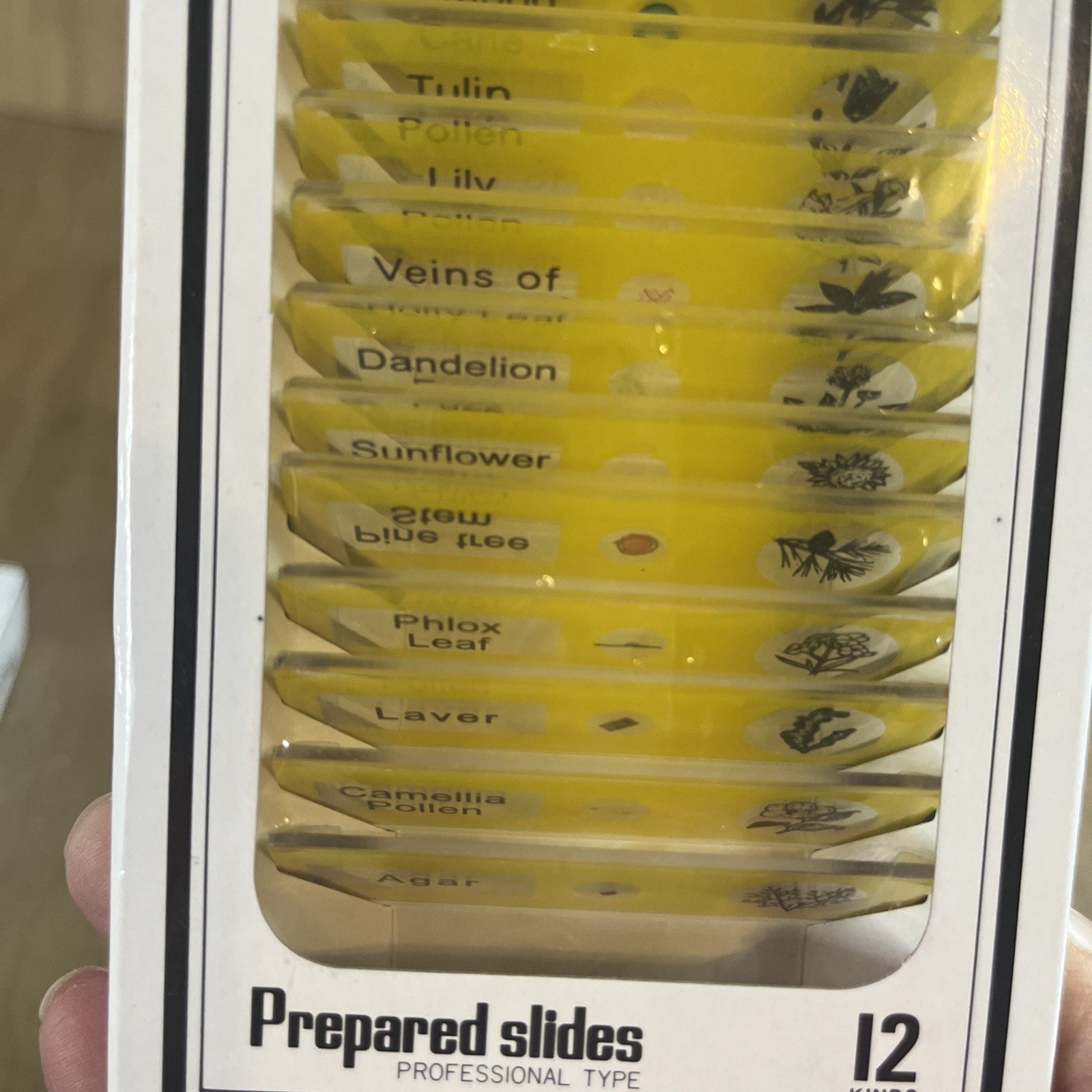 Prepared Microscope Slides 24 Professional Type Insect & Plant Parts