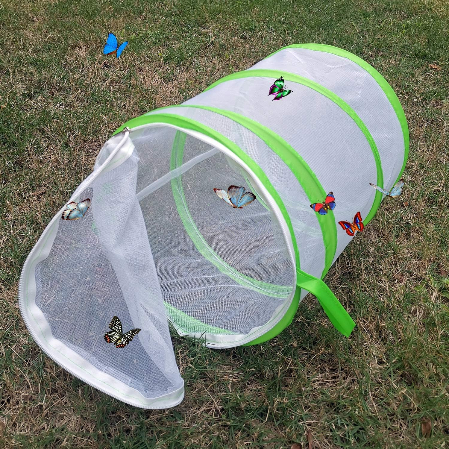 Pop-Up Insect and Butterfly Habitat Cage Terrarium – 12 X 14 Inches Tall