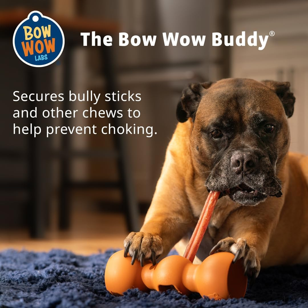 Bow Wow Labs Buddy Safety Device | Newly Redesigned Bully Stick Holder for Dogs