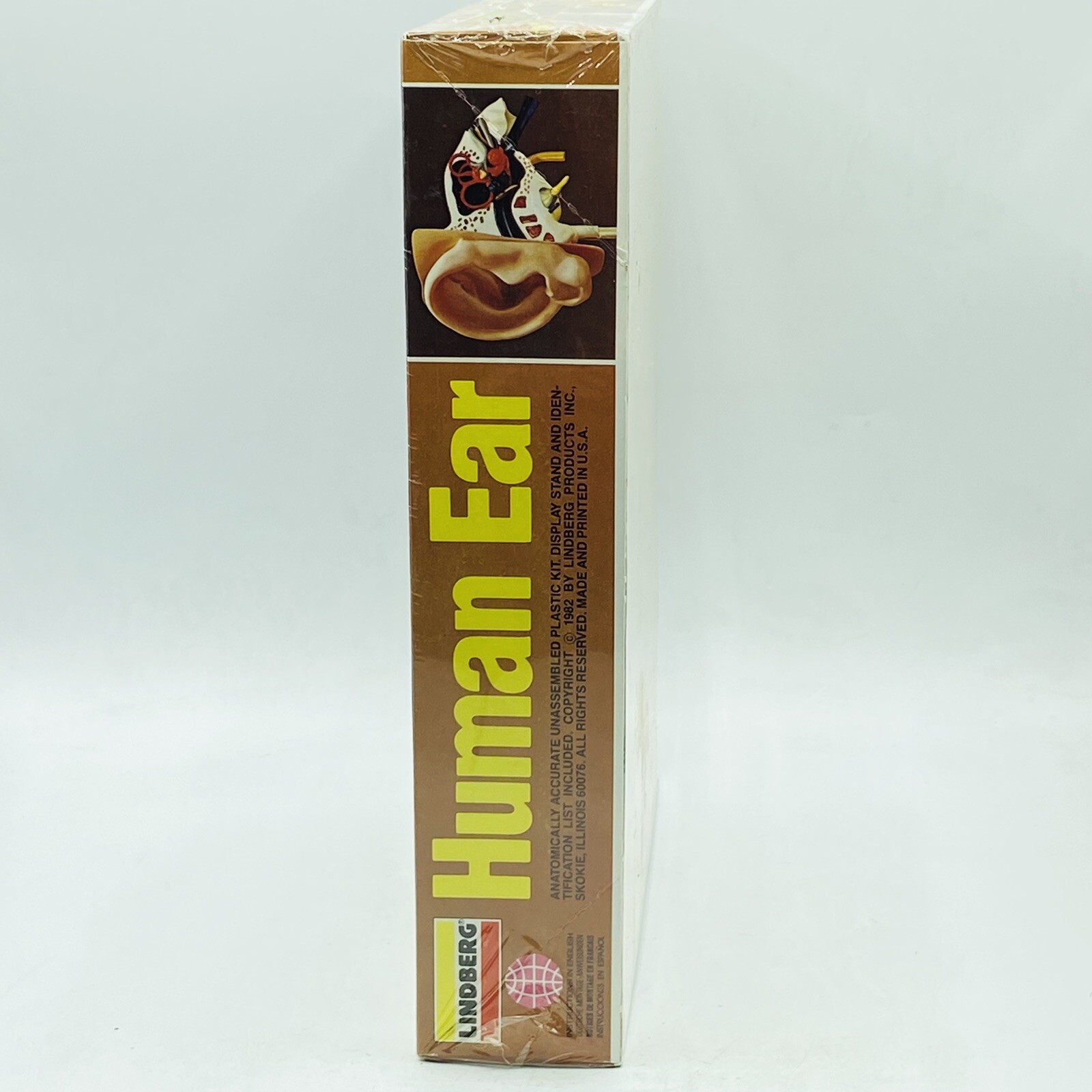 Vintage 96’ Lindberg HUMAN EAR Model Kit Complete In Sealed Box #1337