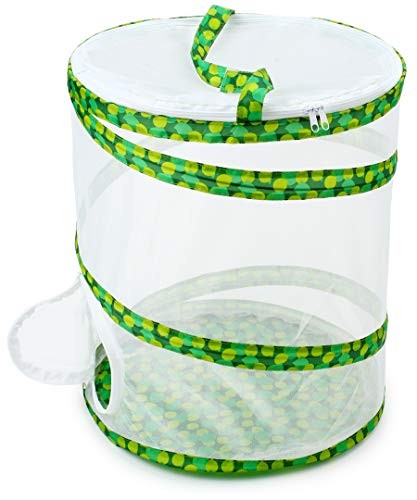 RESTCLOUD Insect and Butterfly Habitat Cage Pop-up Terrarium 12×14 Inch Mesh