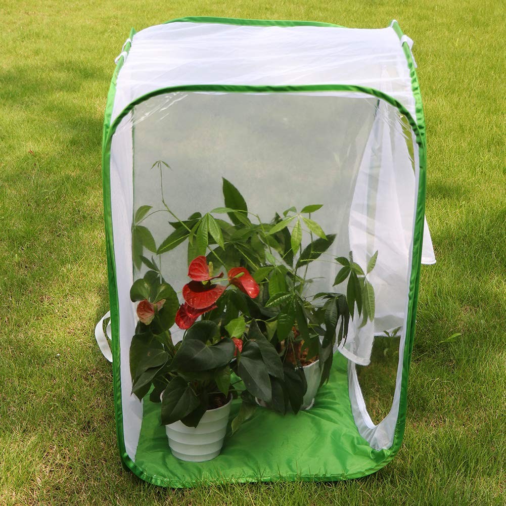 RESTCLOUD 36″ Large Monarch Butterfly 24 x 24 x 36 inches, White with Green
