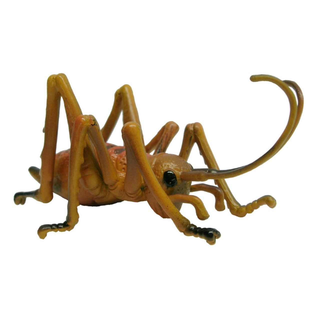 Giant Weta insect figure SSS Animals of Australia NEW