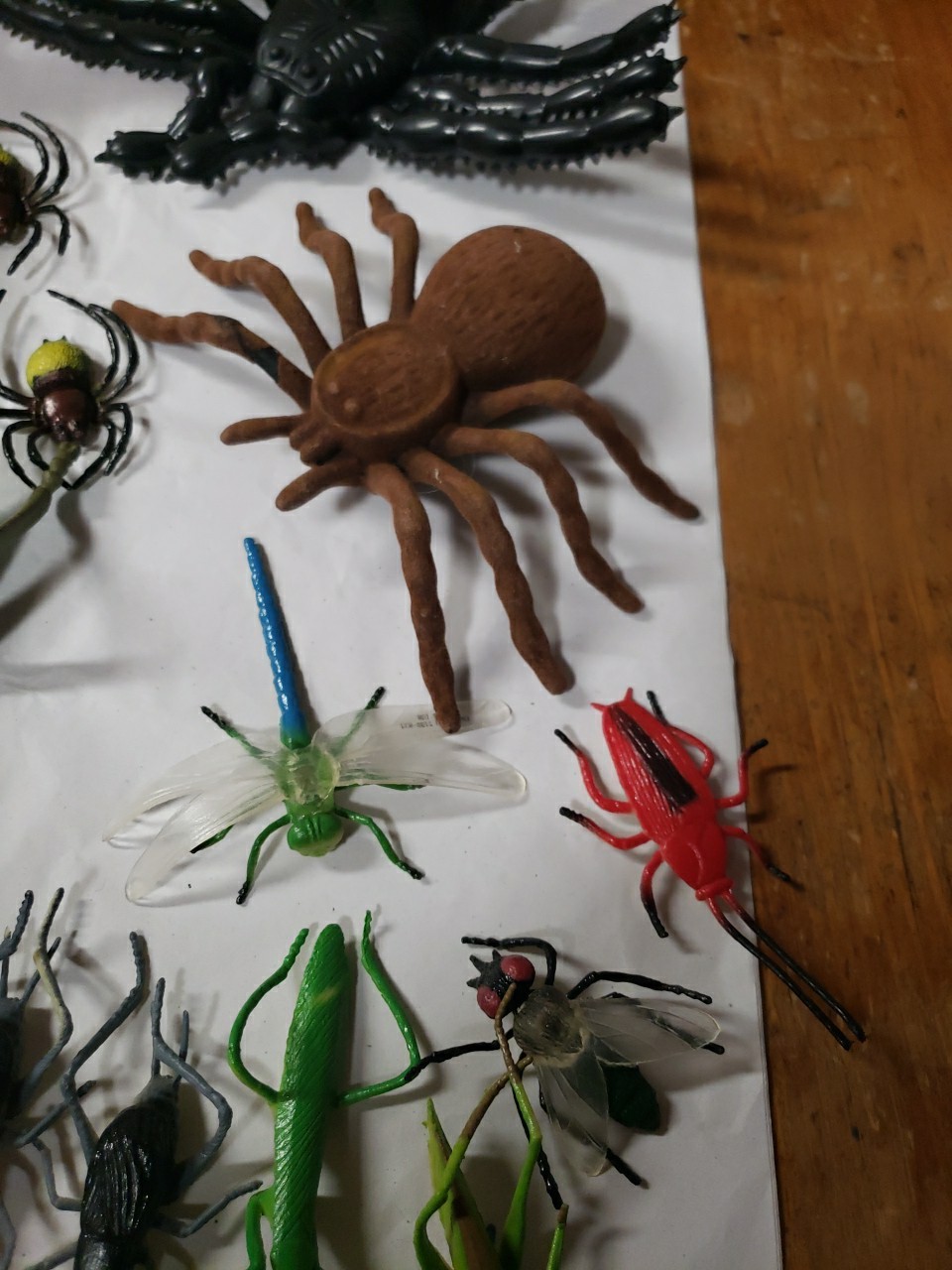 Mixed Lot Of 41 Insects & Reptile Toy Figures, Science, Educational, Nature