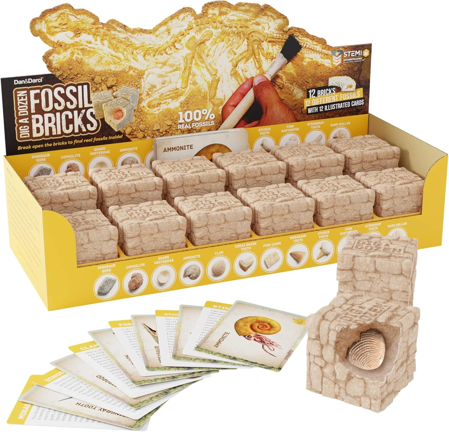 STEM Archaeology Science Project Dig a Dozen Fossil Bricks Sets School FREESHIP