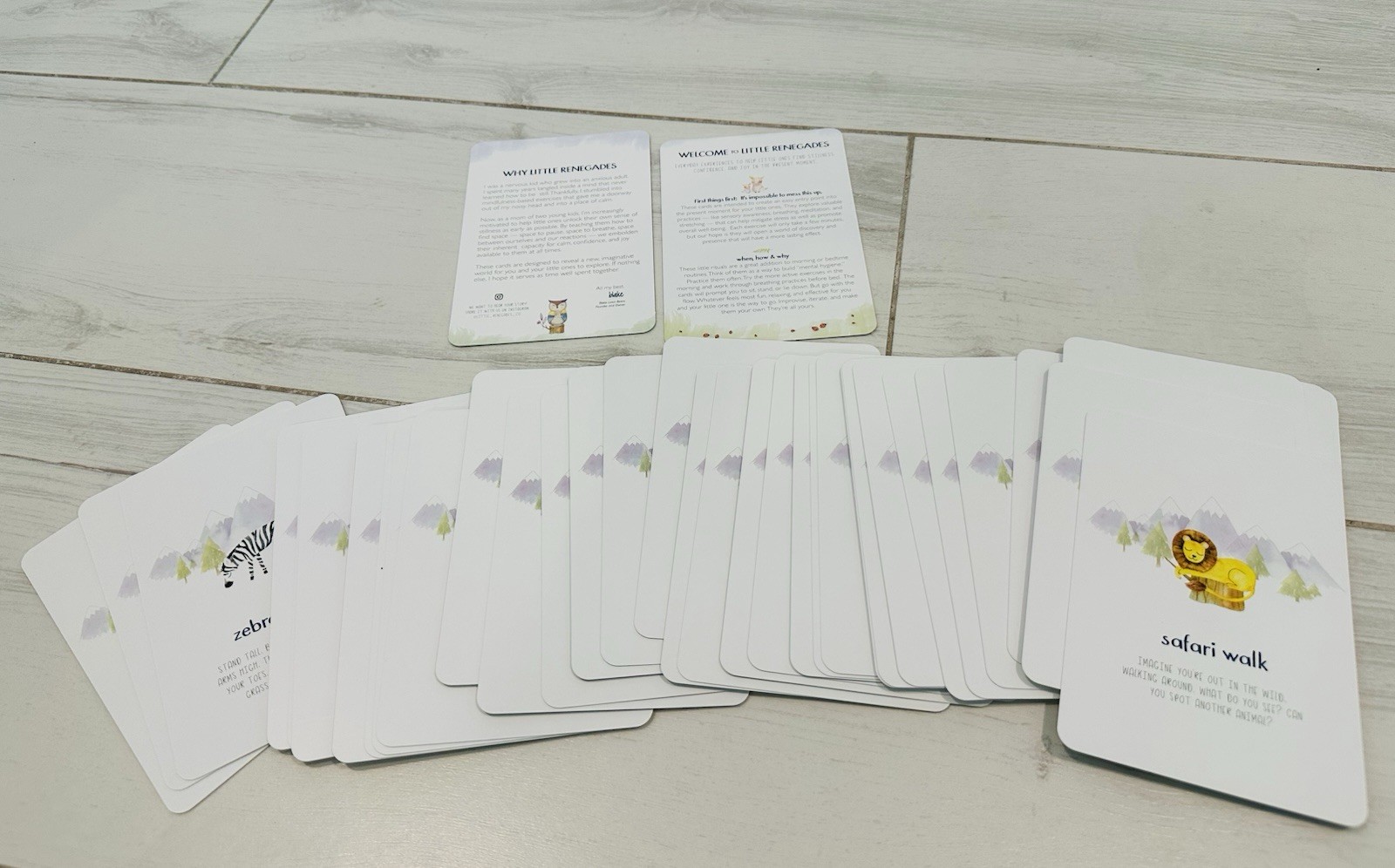 Little Renegades – Mindful Kids Cards, Easy Mindfulness Exercises for Children