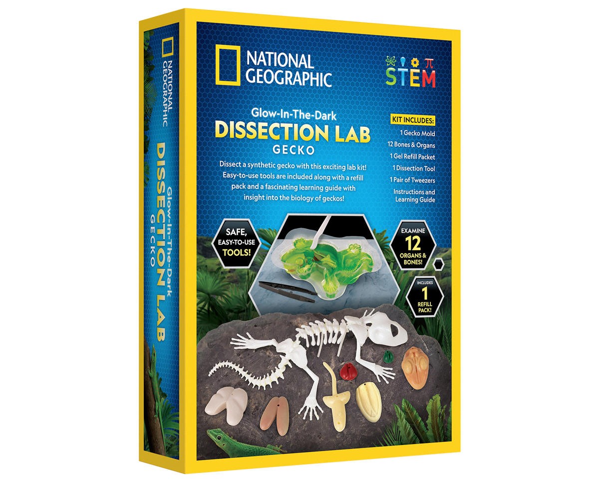 Blue Marble National Geographic Glow-in-the-Dark Gecko Dissection Lab