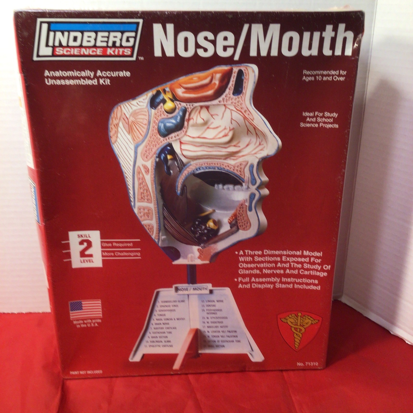 New & Sealed Lindberg “Nose/Mouth” Anatomically Accurate Unassembled Model Kit