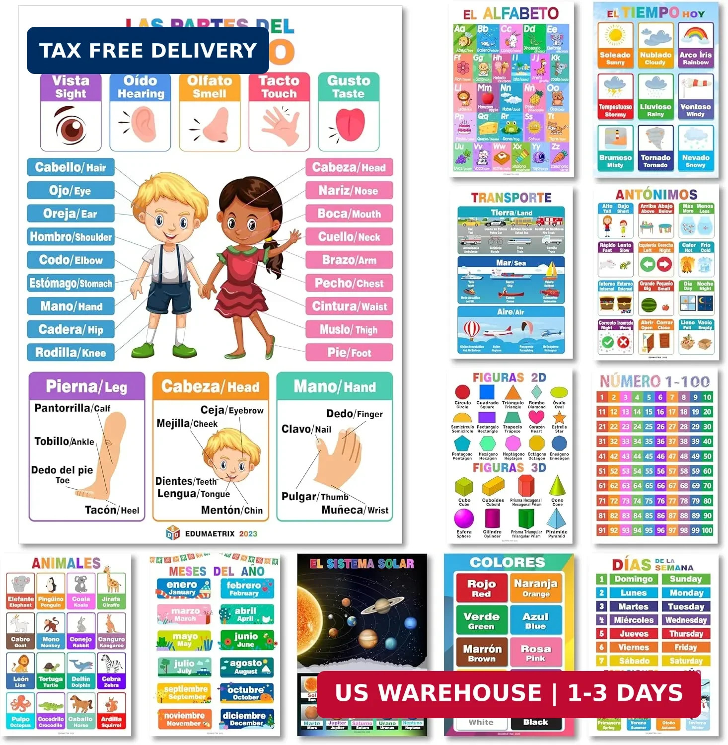 12 Spanish English Bilingual Educational Posters Water Proof Learning Chart for