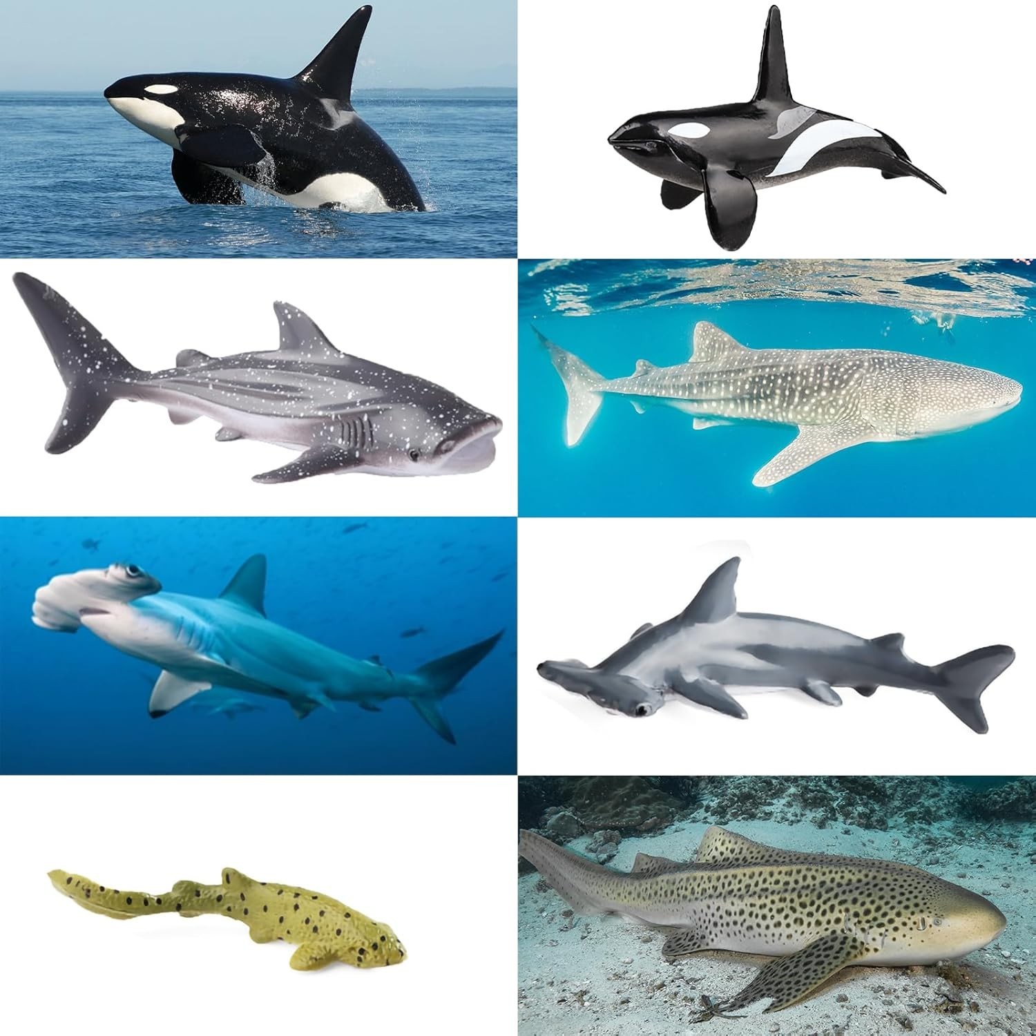 10pcs Sea Animal Figures, Realistic Small Ocean Animal Toys Set with Whale Shark
