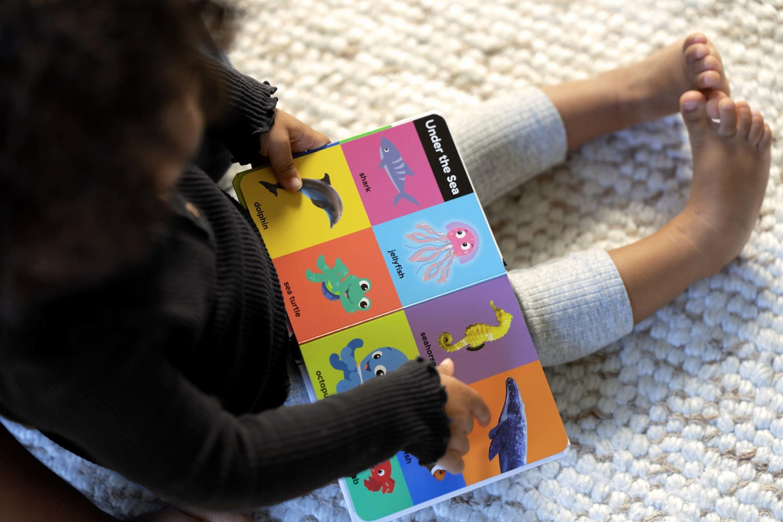 Baby Einstein – My First 100 Words – Early Learning Vocabulary Board Book -…