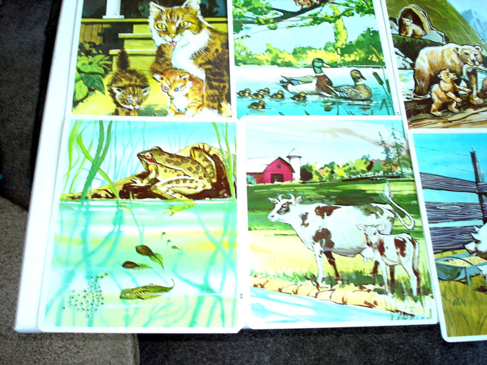 1968 Teacher’s Vintage Peek American Guidance Service Educational Picture Cards