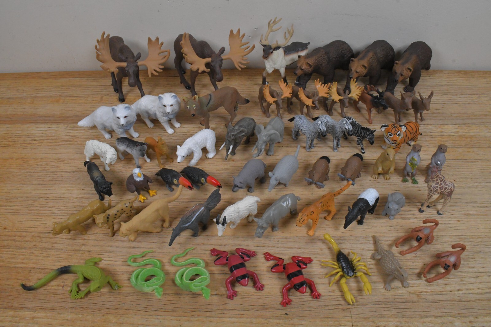 (55) Safari LTD Animal Figures 5.5″ to 2″ in Size
