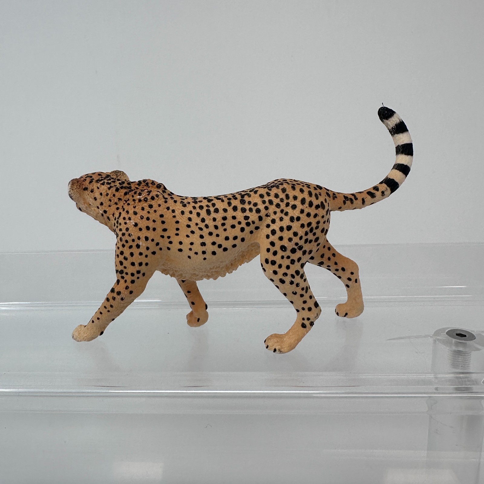 Schleich Cheetah Figure Spotted Large Cat Female Wildlife Zoo Animal Figurine