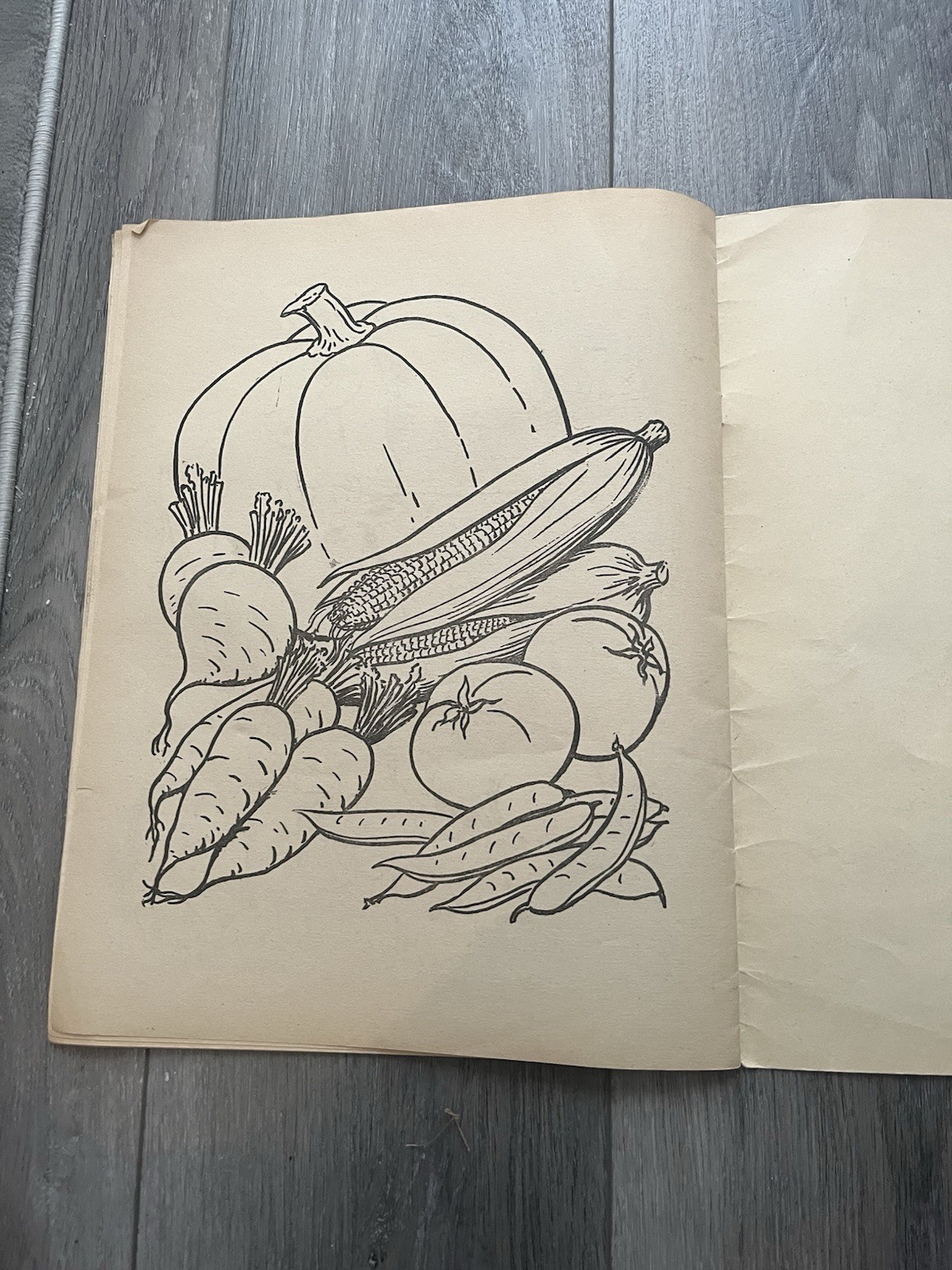 Vintage 1960s Little Wickers Coloring Book Rueben H Lilia Co