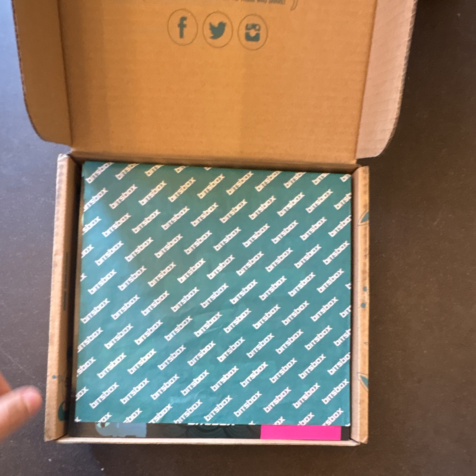 Bitsbox Coding Subscription Box Animal House Edition w/ Guides