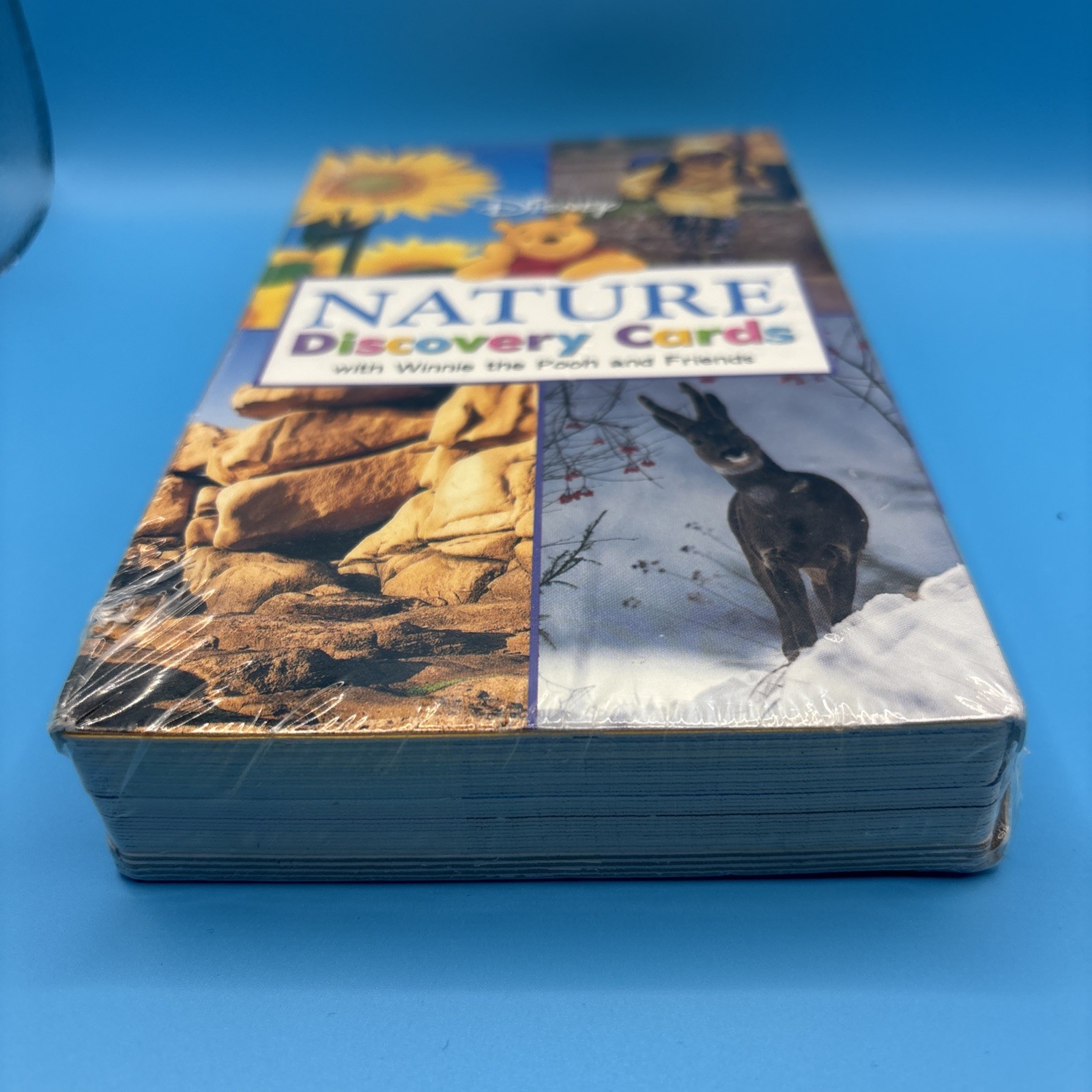 Disney Winnie the Pooh Nature Discovery Cards Flash Cards Sealed Disney Press