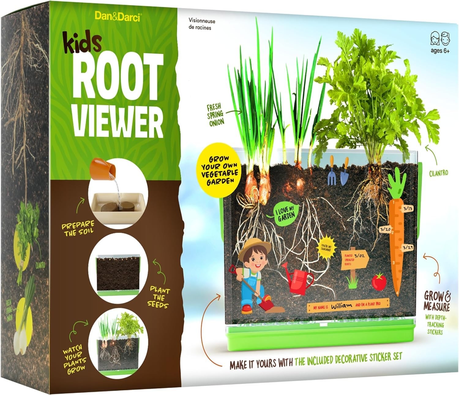 Root Viewer Kit for Kids – Grow Plant Science Educational Toy