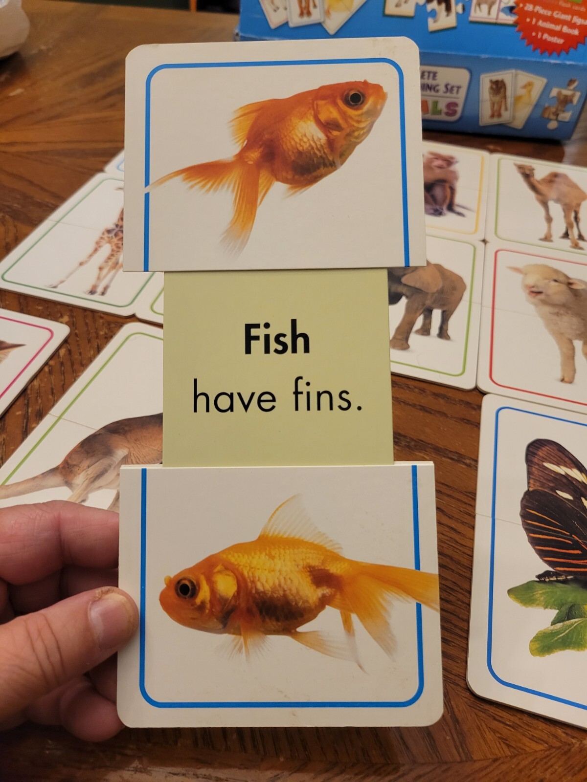 Educational Early Learning Animals Slide Flash Cards 28 pc Floor Puzzle Poster