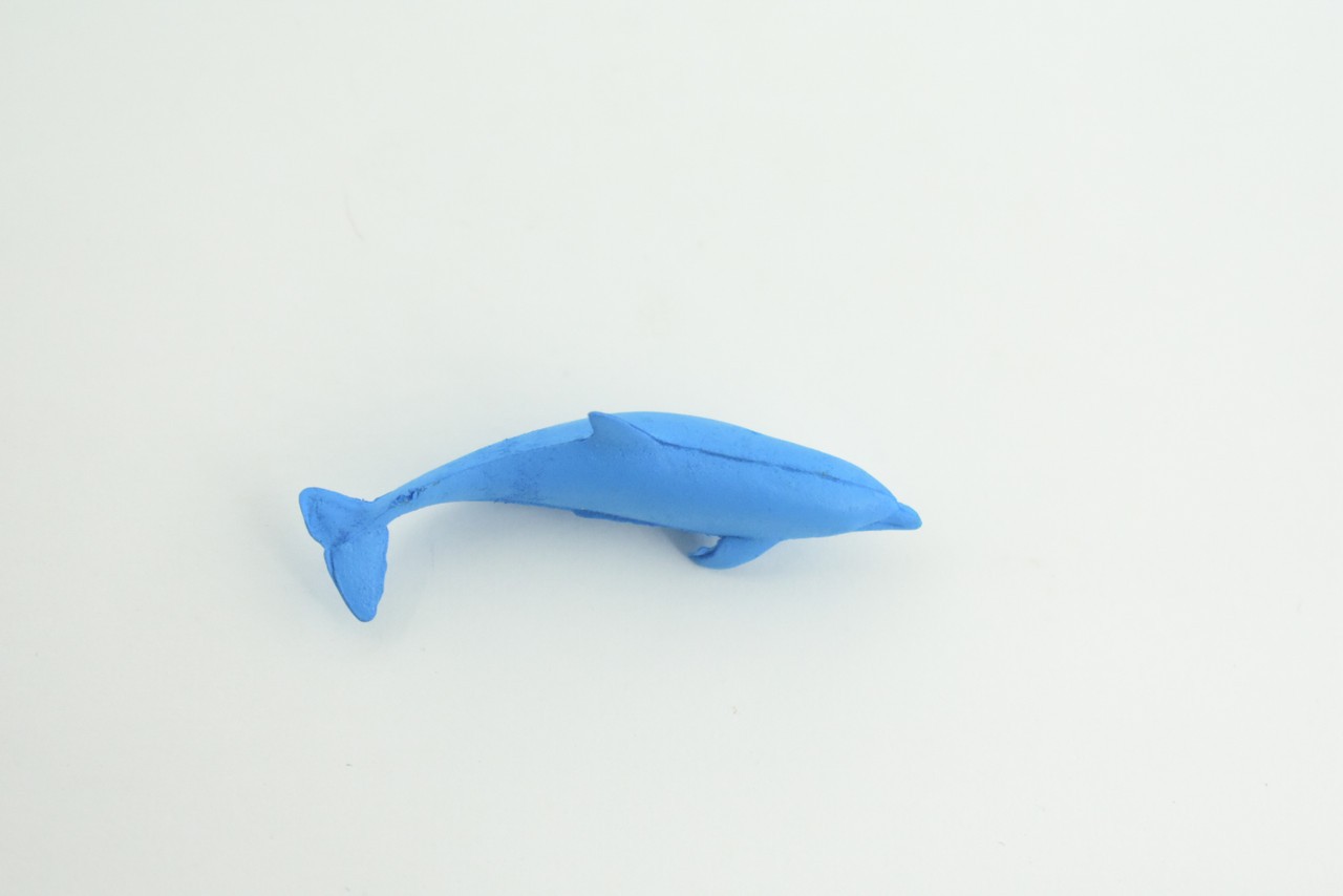 Toy Blue Dolphin Cichlid, Realistic, Replica, Kids, Gift, 2 Inches CWG52 B197