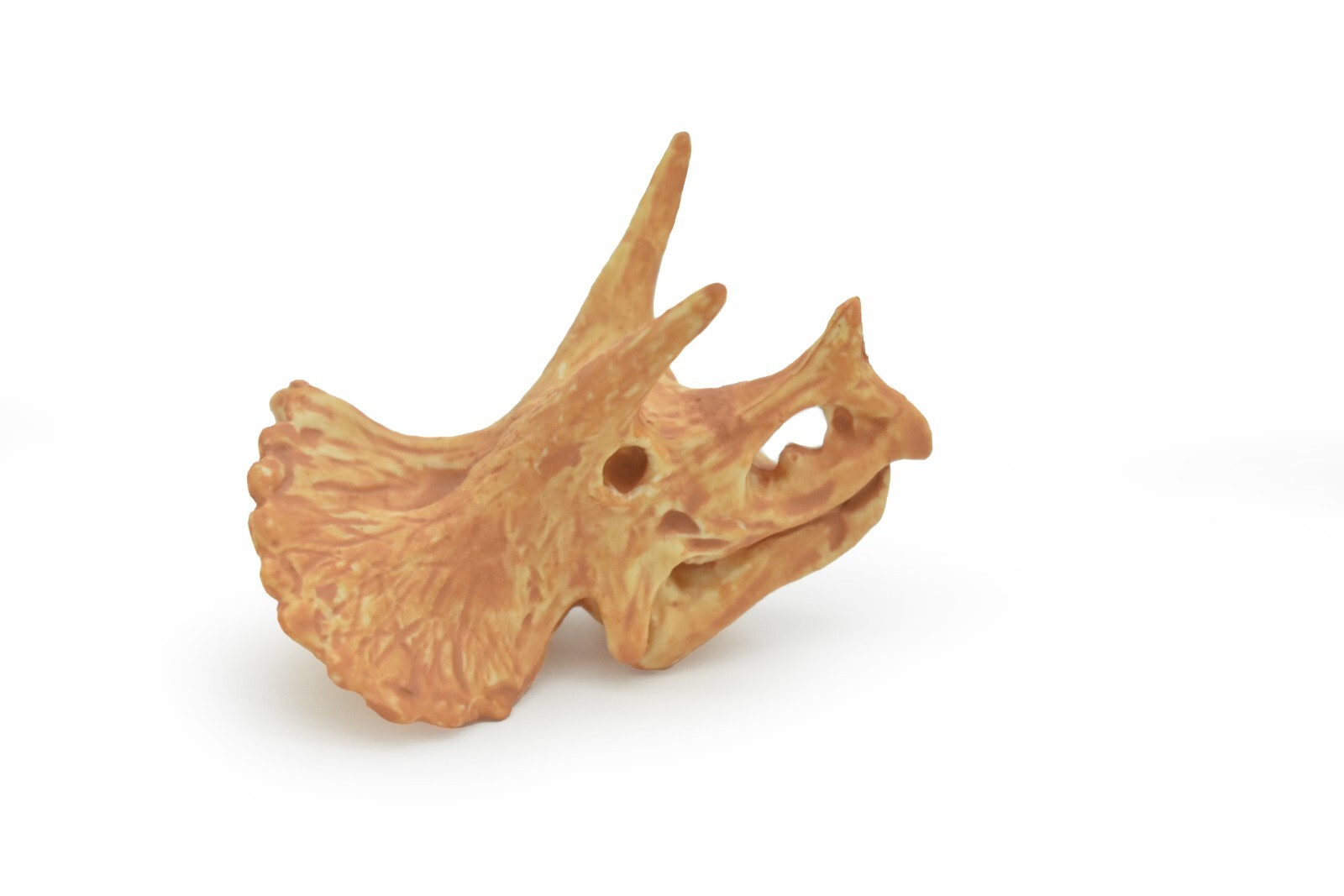 Triceratops, Dinosaur Skull Fossil, Educational, Realistic Rubber Toy Model 1.5″