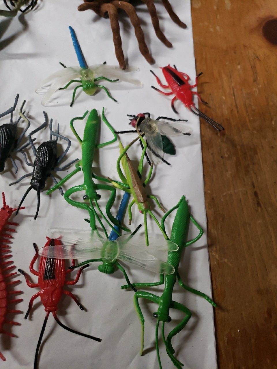 Mixed Lot Of 41 Insects & Reptile Toy Figures, Science, Educational, Nature