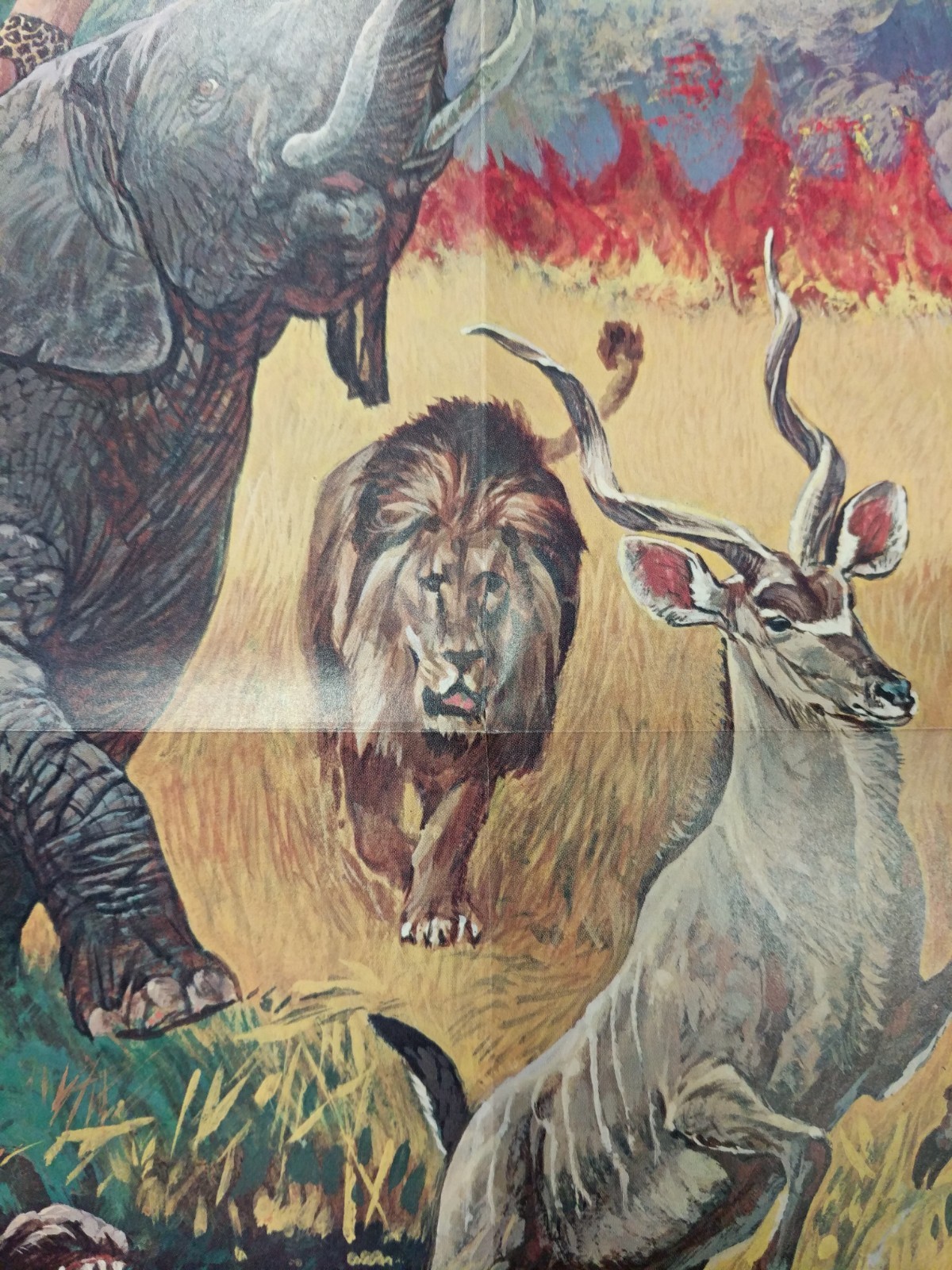 Peabody Fossum Vintage Jungle Wild Animals & Pirates 1966 School 2 Poster Lot #4