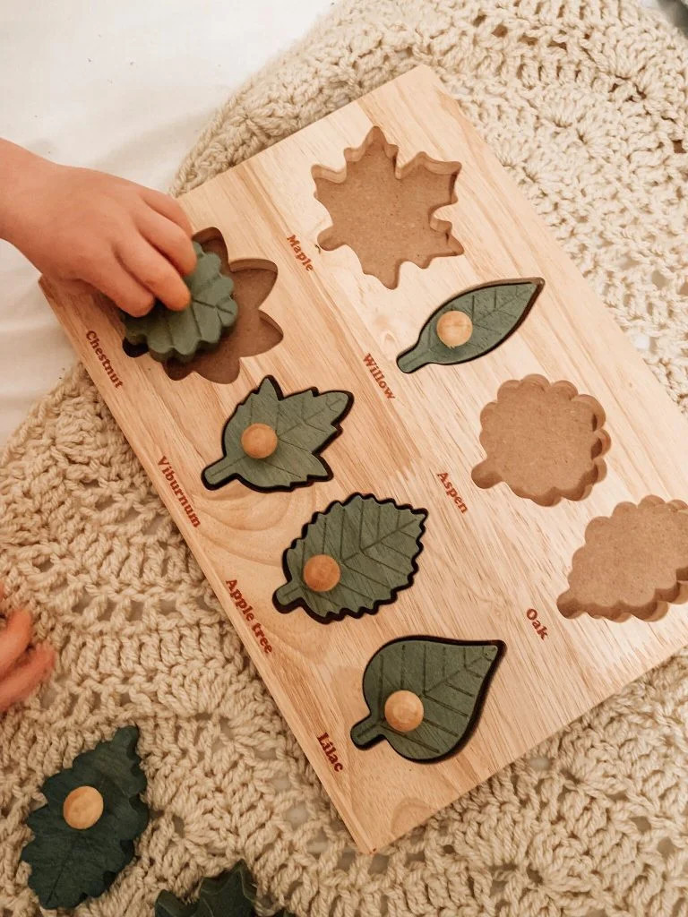 QToys USA Montessori Leaf Puzzle