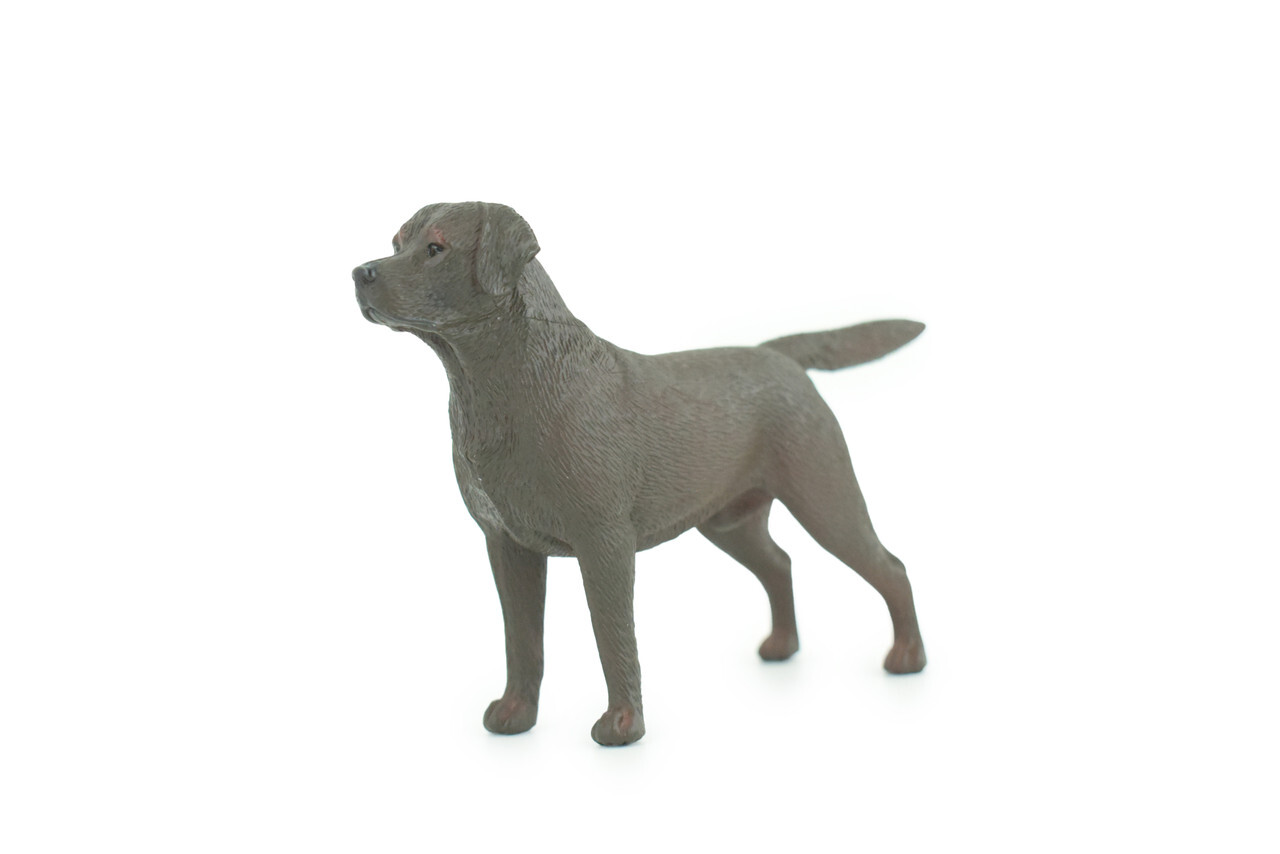 Labrador Dog Toy, Chocolate, Brown, Realistic Hand Painted 6 Inches CH935 BB206