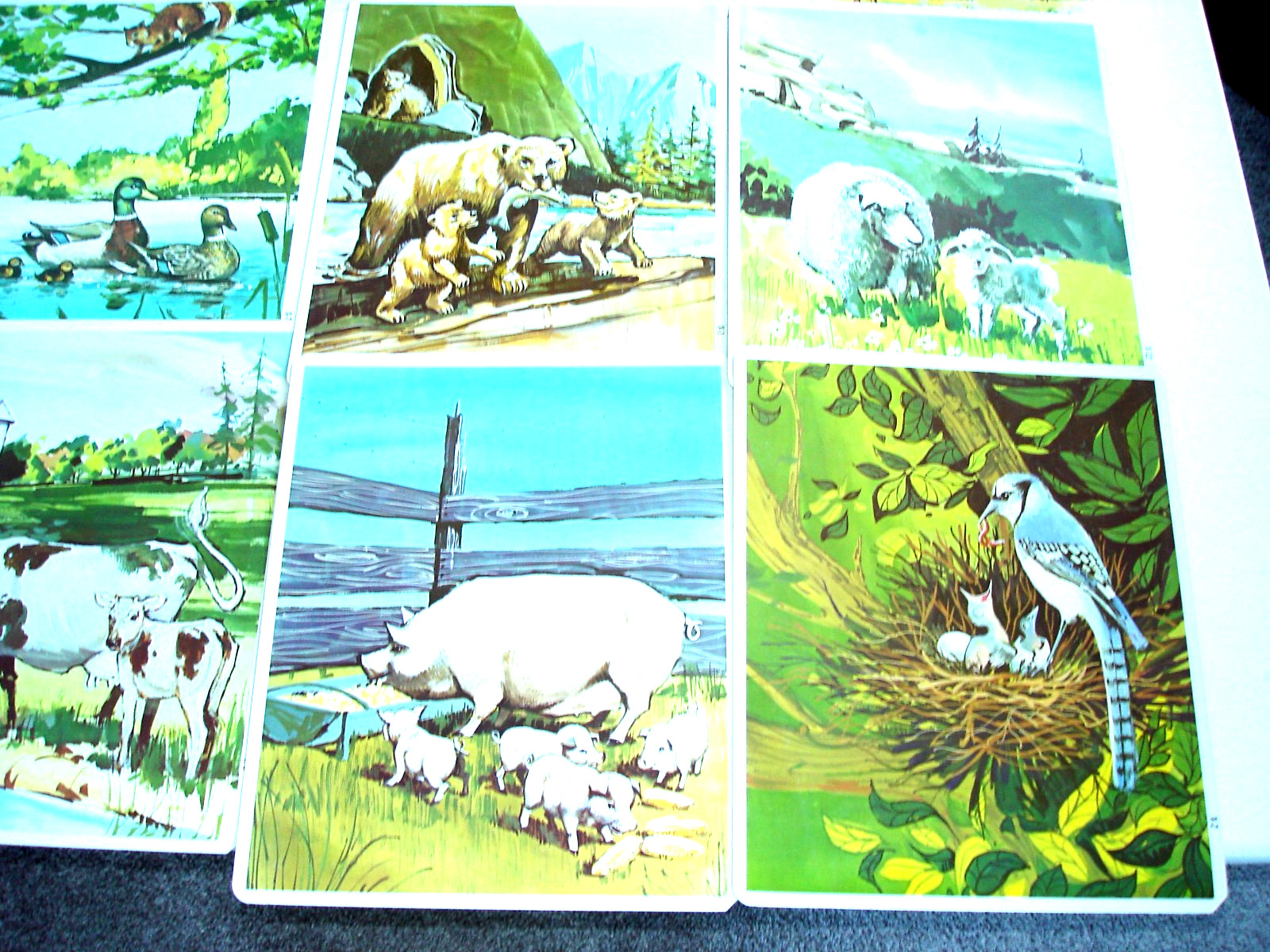 1968 Teacher’s Vintage Peek American Guidance Service Educational Picture Cards