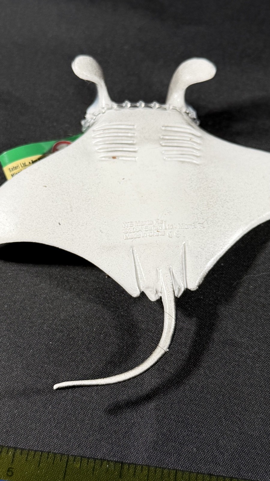 Manta Ray Sea Life Safari Ltd 2004 With tag