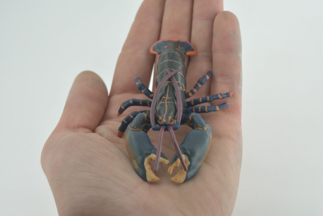 Boston Lobster Toy Museum Quality Rubber Hand Painted Gift, 4 Inches CH1002BB218
