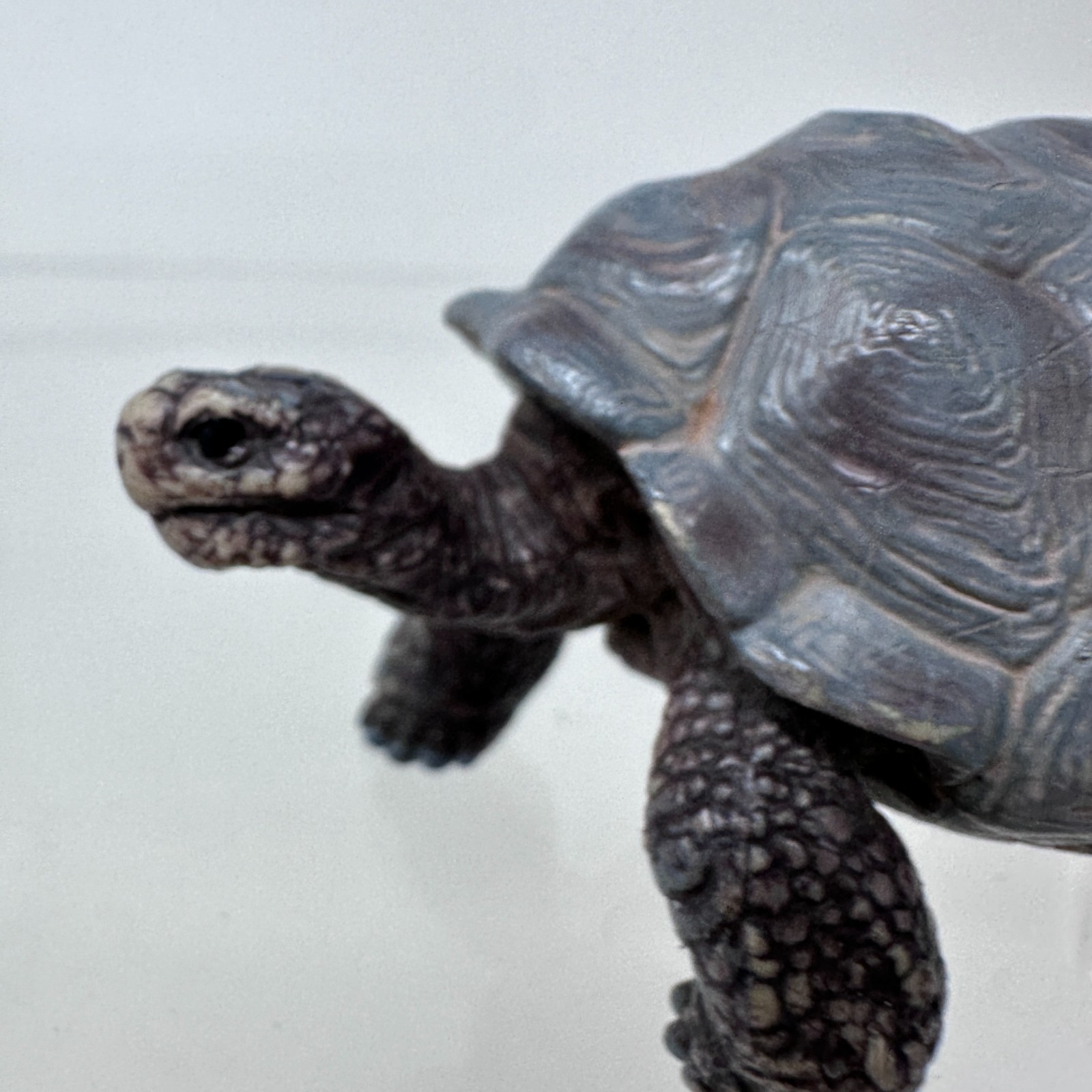 Schleich Tortoise Figure Gray Land Turtle Wildlife Zoo Safari Animal Figurine 3″