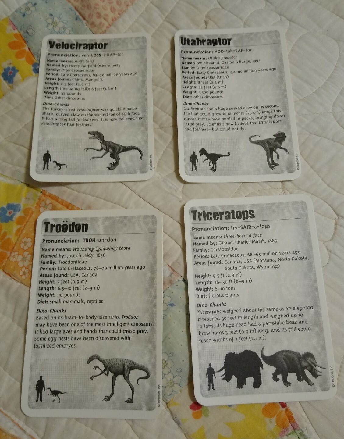 DINOSAURS 🦖 Educational Flash Cards Set of 36 Bendon NEW! Free shipping!