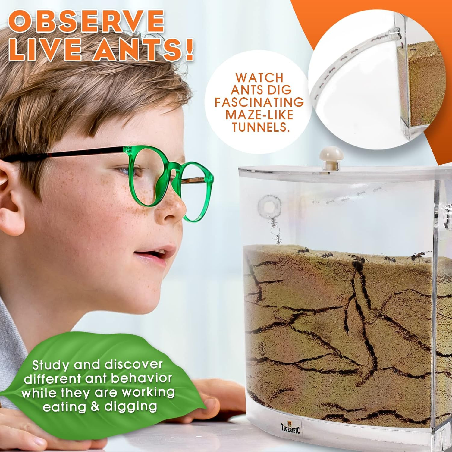 Ant Farm for Live Ants – Real Sand Ant Colony Kit for Kids -Fun Science Habitat