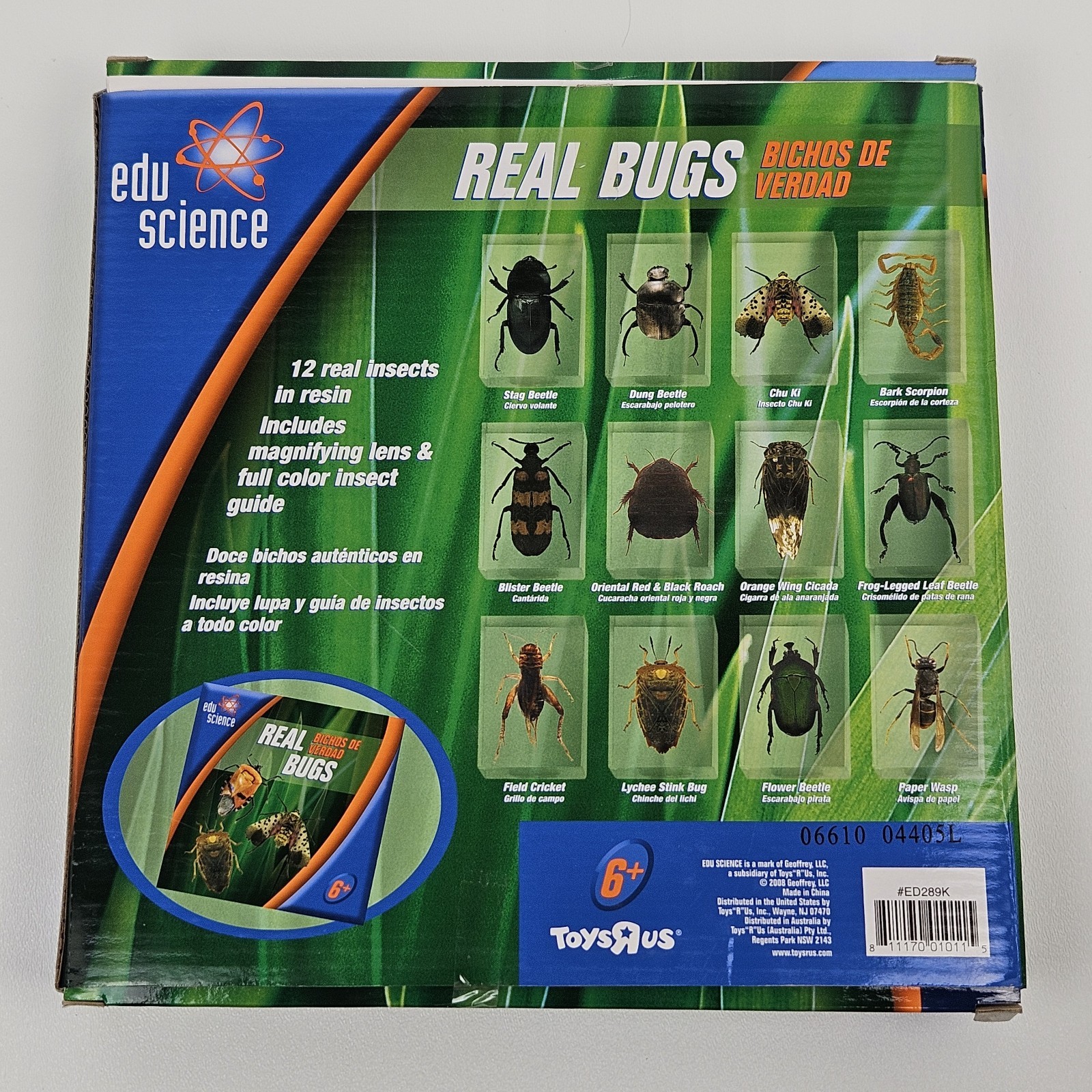 Edu Science REAL BUGS in Resin Insect Display 12-Pack Original Box, Toys “R” Us